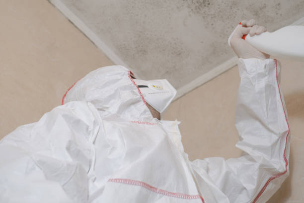 Best Bathroom Mold Remediation in Santa Clara, OR